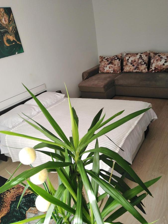 Appartement Garsoniera Rebecca à Tîrgu Ocna Extérieur photo
