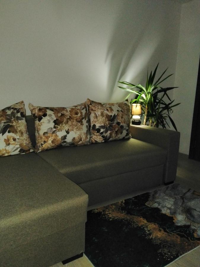 Appartement Garsoniera Rebecca à Tîrgu Ocna Extérieur photo